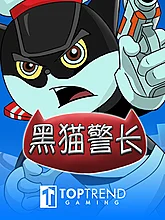 Detective Black Cat